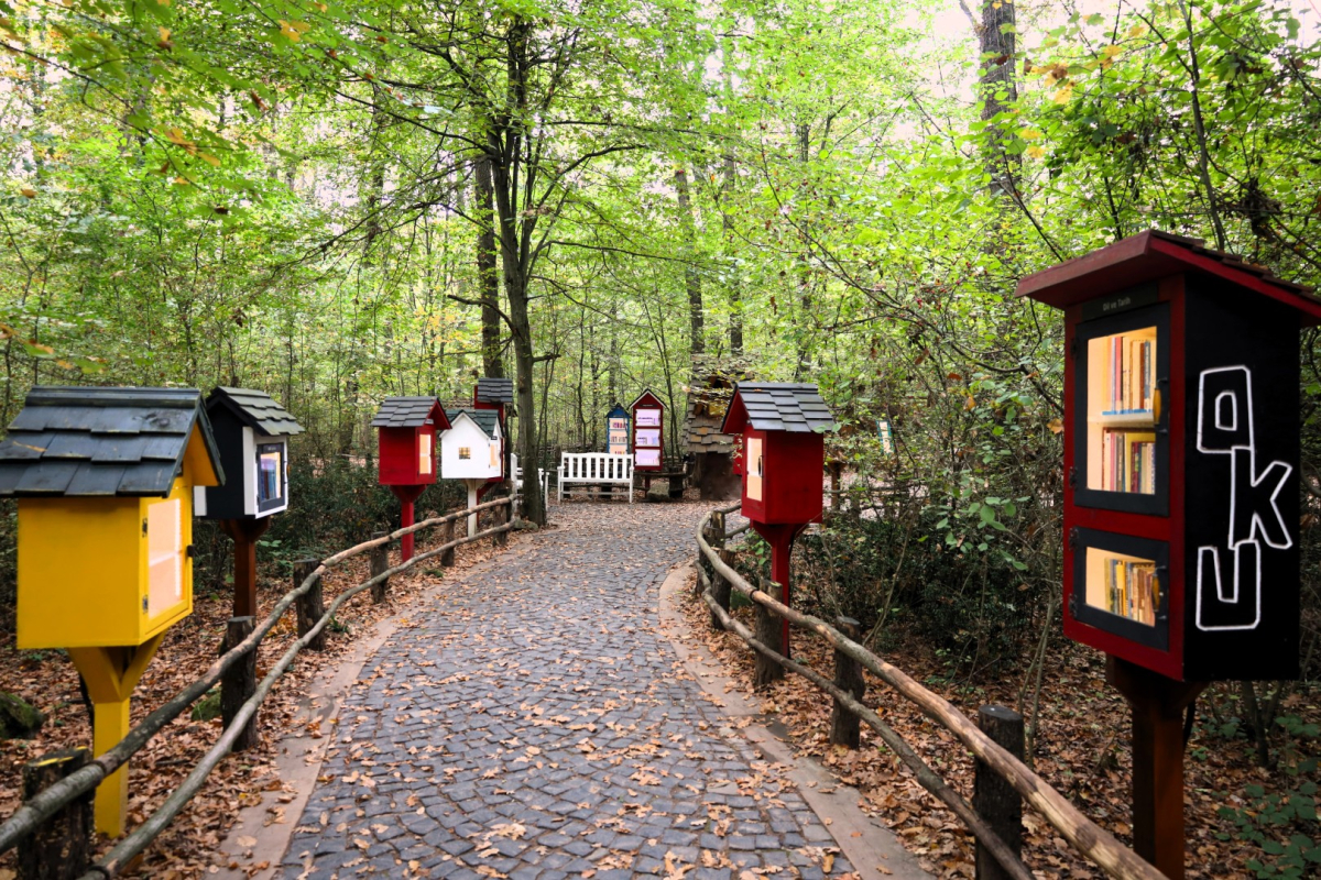Ankara Çıkışlı Günübirlik Sapanca, Maşukiye, Ormanya Turu