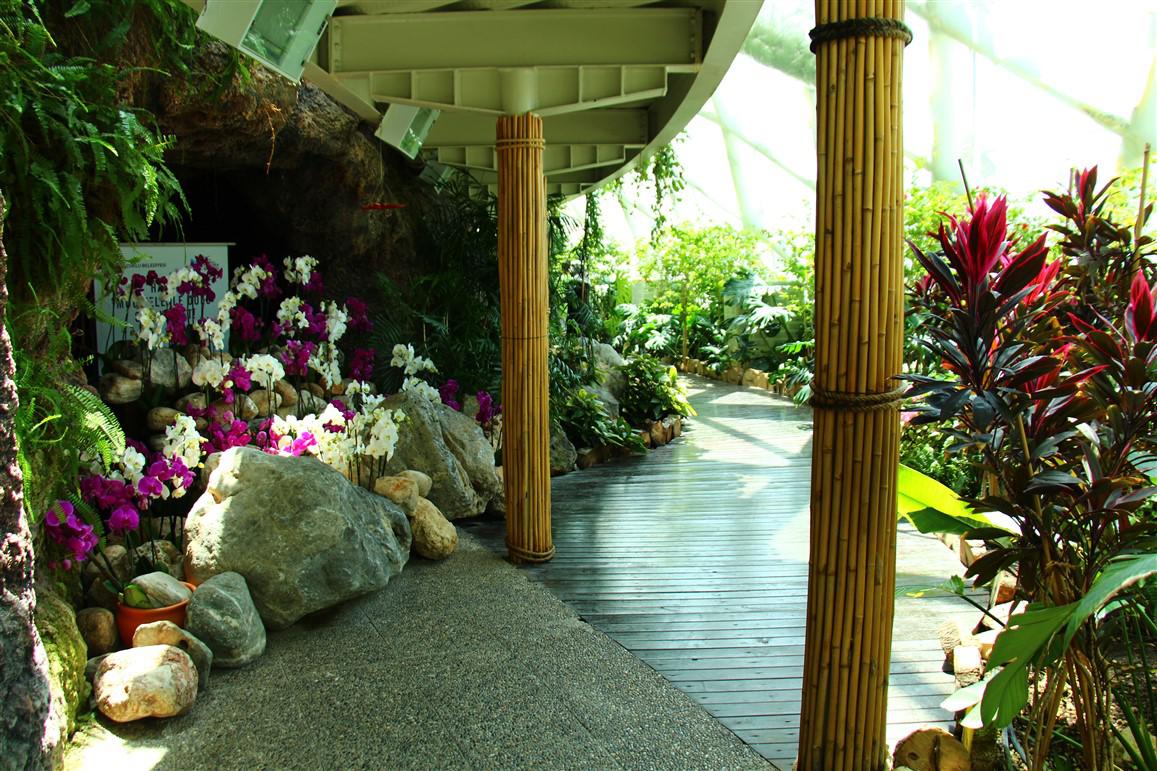  Ankara Çıkışlı Günübirlik Konya Tropikal Kelebek Bahçesi ve Sille 