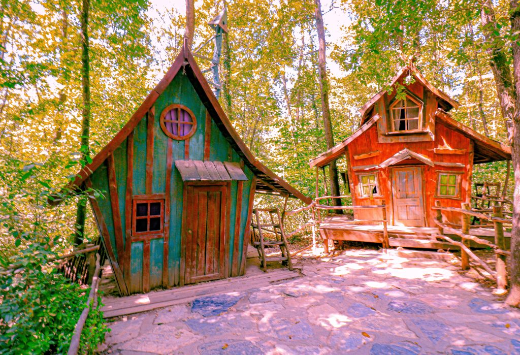 Ankara Çıkışlı Günübirlik Sapanca, Maşukiye, Ormanya Turu