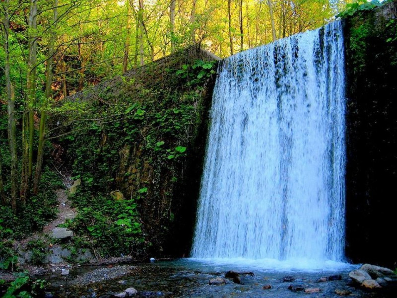 Ankara Çıkışlı Günübirlik Sapanca, Maşukiye, Ormanya Turu