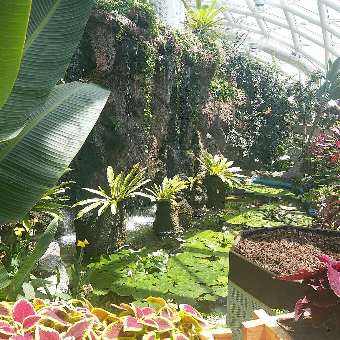  Ankara Çıkışlı Günübirlik Konya Tropikal Kelebek Bahçesi ve Sille 