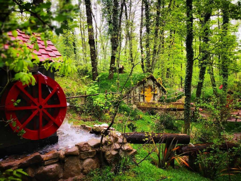 Ankara Çıkışlı Günübirlik Sapanca, Maşukiye, Ormanya Turu