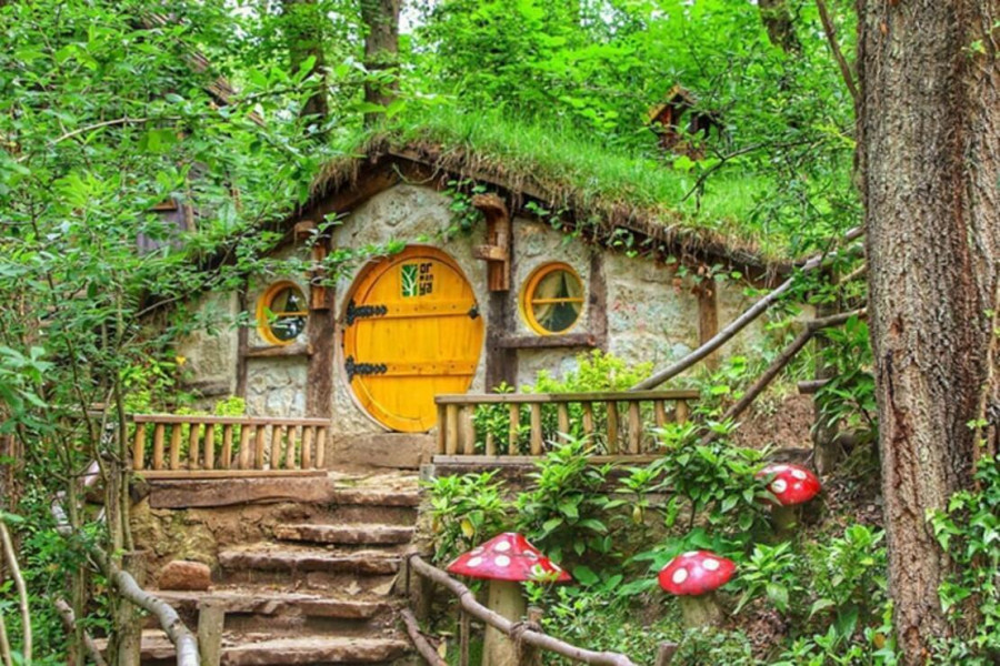 Ankara Çıkışlı Günübirlik Sapanca, Maşukiye, Ormanya Turu