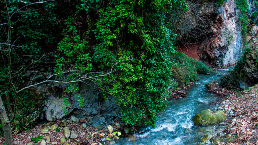 Ankara Çıkışlı Günübirlik Sapanca, Maşukiye, Ormanya Turu
