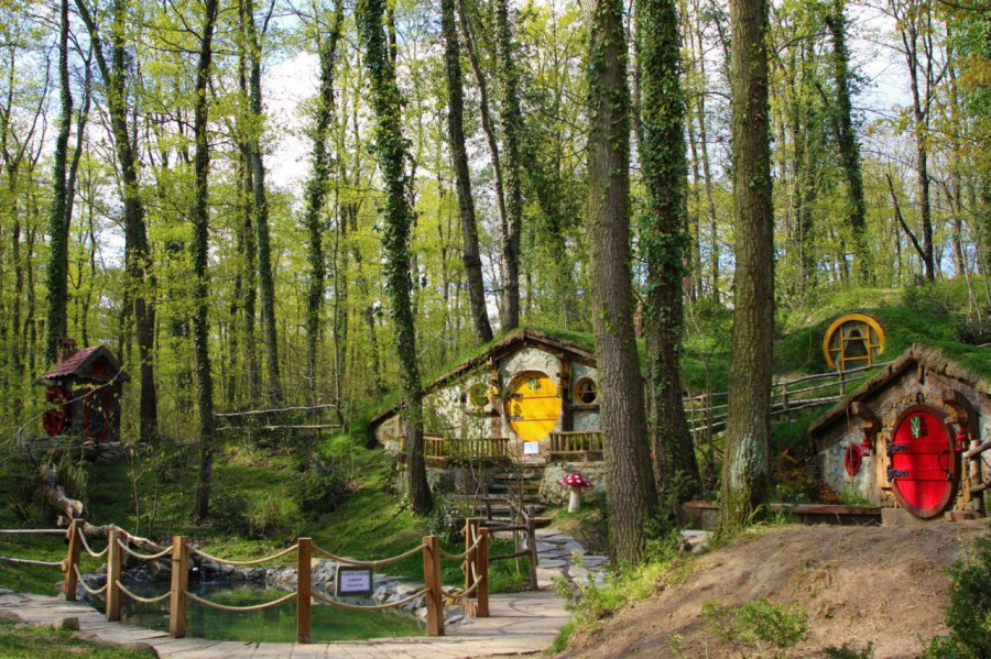 Ankara Çıkışlı Günübirlik Sapanca, Maşukiye, Ormanya Turu